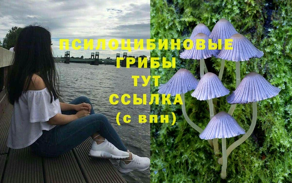 индика Красноперекопск