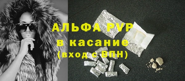 индика Красноперекопск