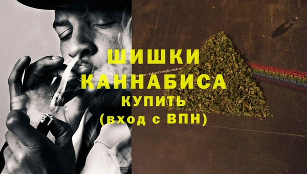 индика Красноперекопск